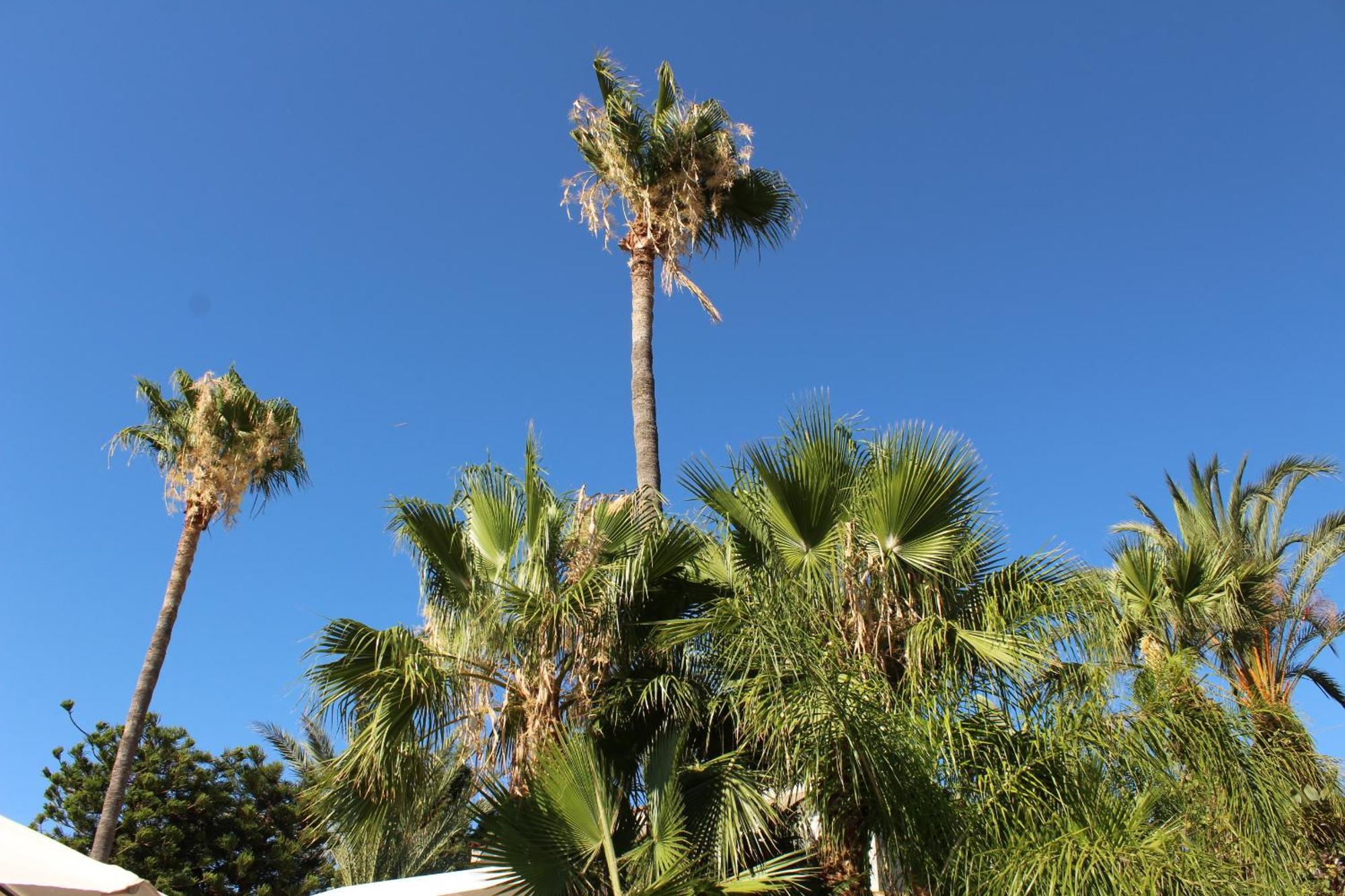 Villa St.George'S Country Retreat Limisso Esterno foto